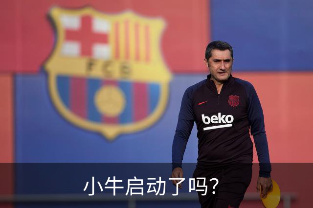 小牛启动了吗？